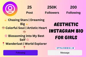 Aesthetic Instagram bio for girls