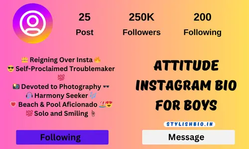 Attitude Instagram Bio For Boys