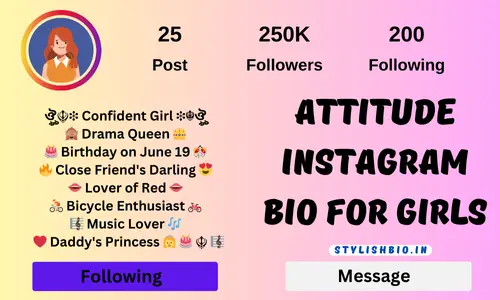 Attitude Instagram Bio For Girls