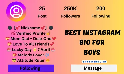 Best Instagram Bio For Boys 2024