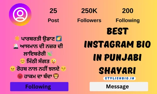 Best Instagram Bio In Punjabi Shayari