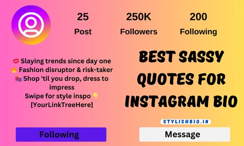 Best Sassy Quotes for Instagram Bio