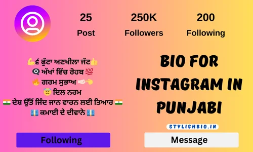 Bio For Instagram In Punjabi