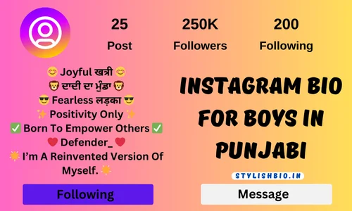 Instagram Bio For Boys In Punjabi