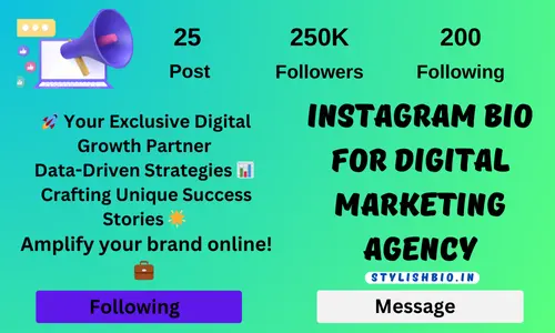 Instagram Bio For Digital Marketing Agency