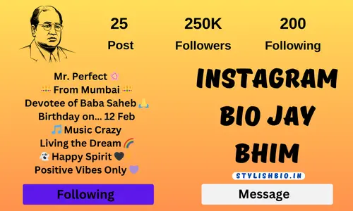 Instagram Bio Jay Bhim