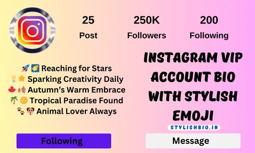 Instagram VIP Account Bio with Stylish Emoji