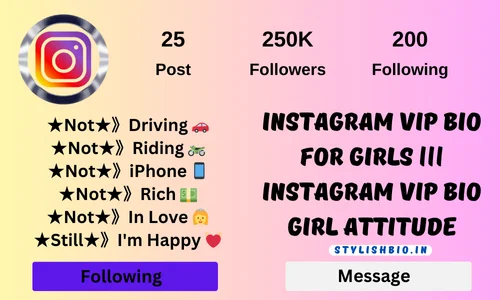 Instagram Vip Bio For Girls ||| Instagram Vip Bio Girl Attitude