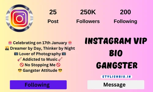 Instagram Vip Bio
 Gangster