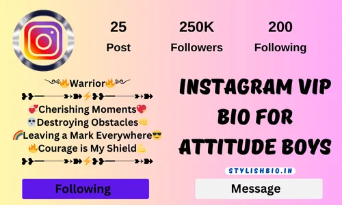 Instagram Vip Bio for Attitude Boys