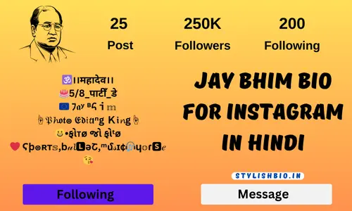 Jay Bhim Bio For Instagram In Hindi