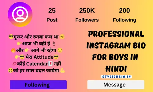 Professional Instagram Bio For Boys In Hindi