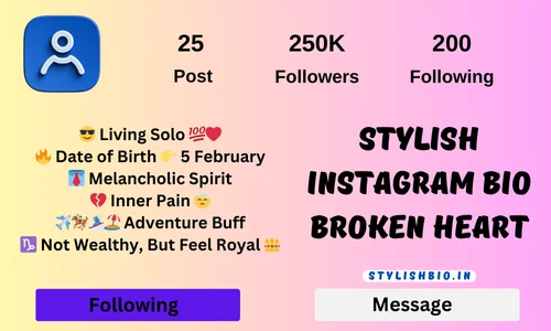 Stylish Instagram Bio Broken Heart