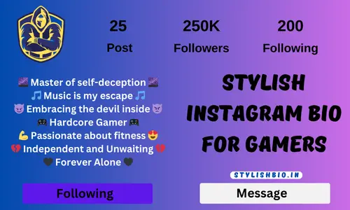 Stylish Instagram Bio For Gamers