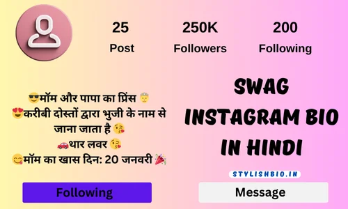 Swag Instagram Bio In Hindi