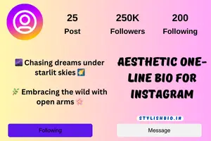 aesthetic one-line bio for instagram