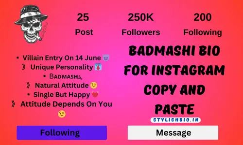 Badmashi Bio For Instagram Copy And Paste