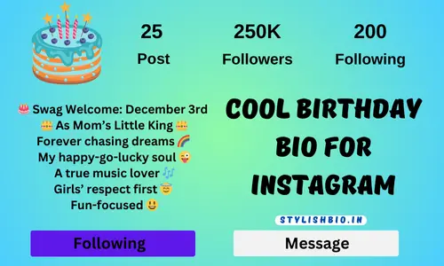 Cool Birthday Bio for Instagram