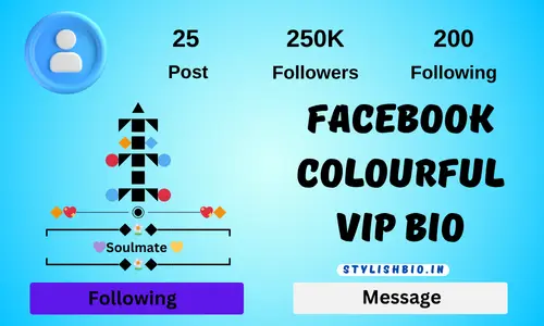 Facebook Colourful Vip Bio