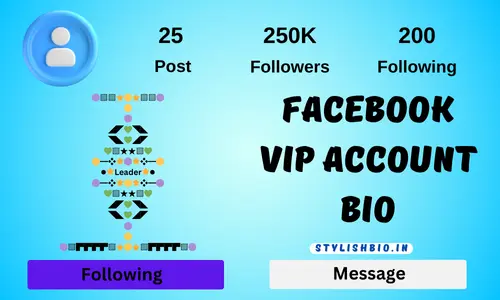 Facebook Vip Account Bio