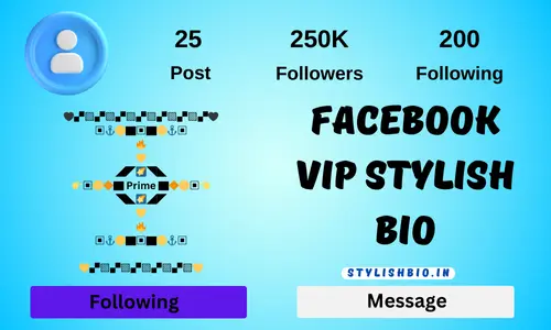 Facebook Vip Stylish Bio