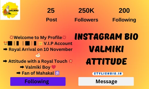 Instagram Bio Valmiki Attitude