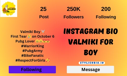 Instagram Bio Valmiki For Boy