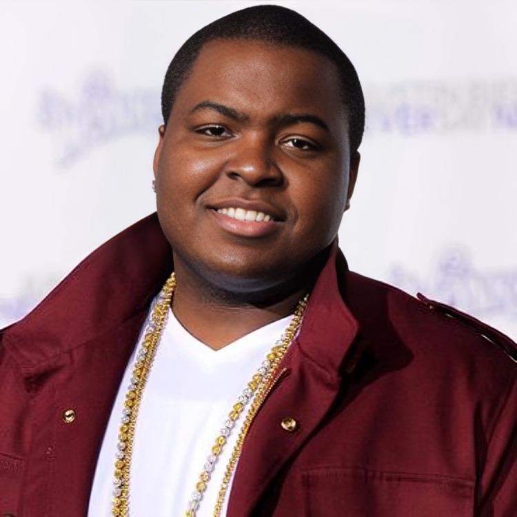 What Is Sean Kingston Net Worth? American Singer Insights